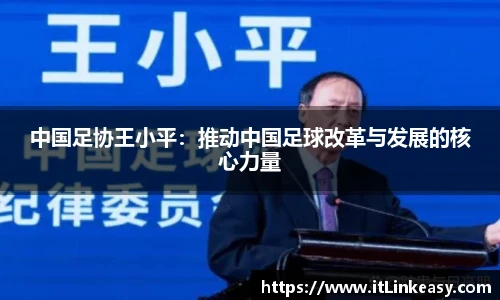 bifa必发登录