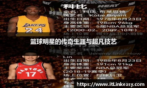 必发bifa官网入口