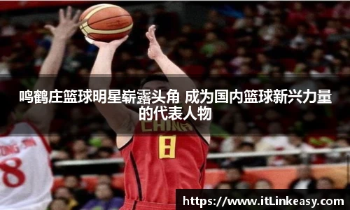 bifa必发登录