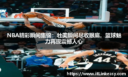 必发bifa官网入口