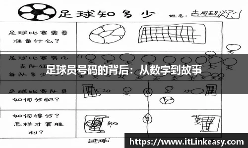 bifa必发登录