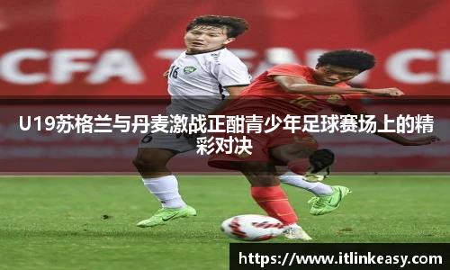 bifa必发登录