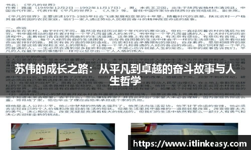 苏伟的成长之路：从平凡到卓越的奋斗故事与人生哲学